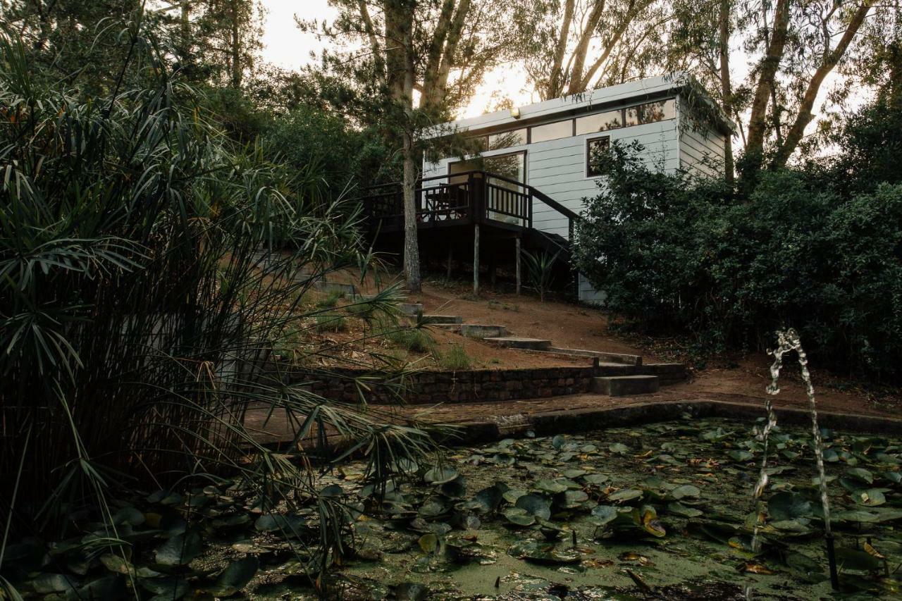 L'Auberge Country Hideaway Port Elizabeth Exterior foto