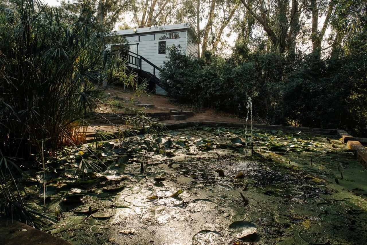 L'Auberge Country Hideaway Port Elizabeth Exterior foto